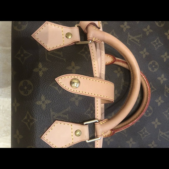 Louis Vuitton Garment Cover - Picture 3 of 8